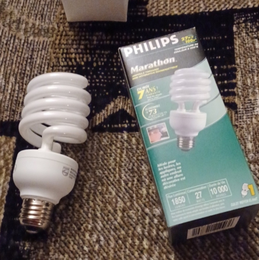 $4 Add-on New Philips Marathon Bulb (27 w = 100 w)